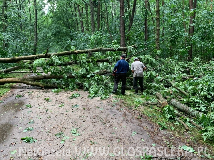 Efekty potężnej burzy