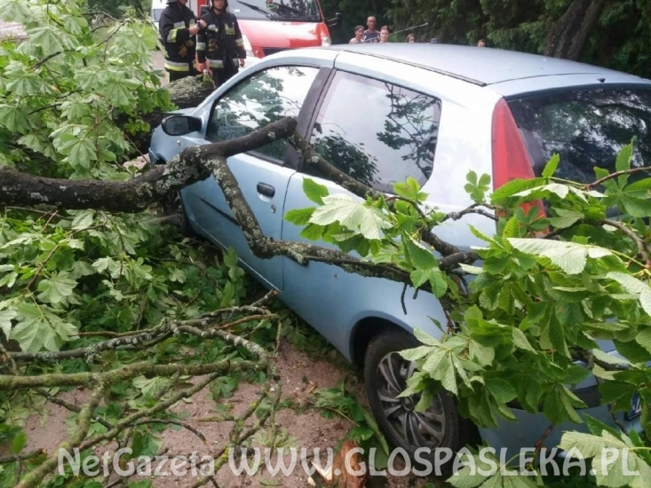 Efekty potężnej burzy