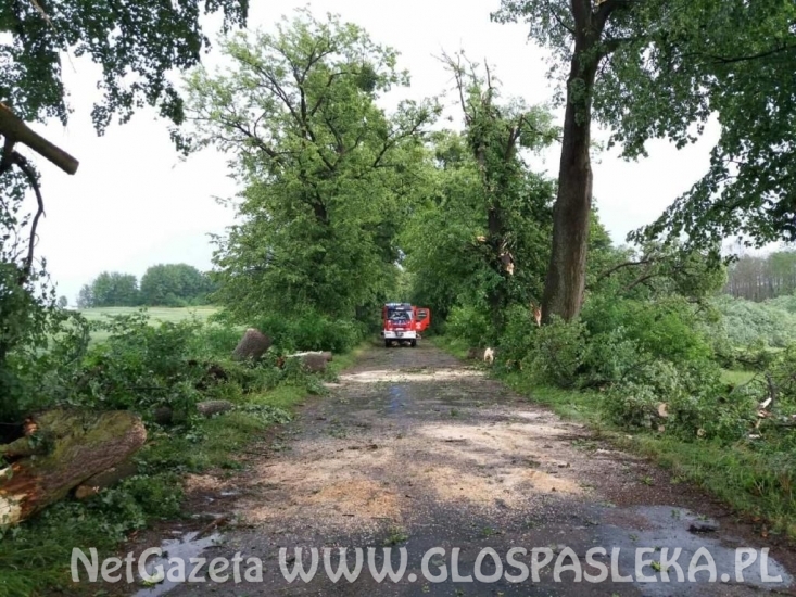 Efekty potężnej burzy