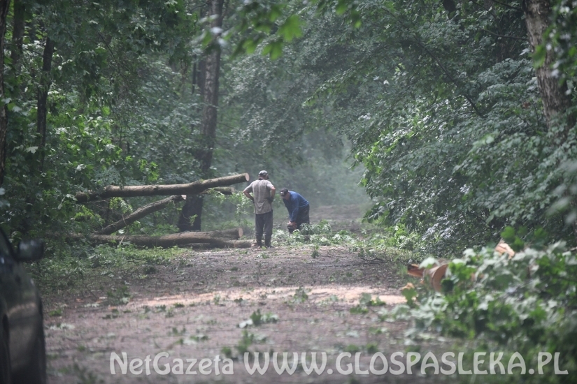 Efekty potężnej burzy