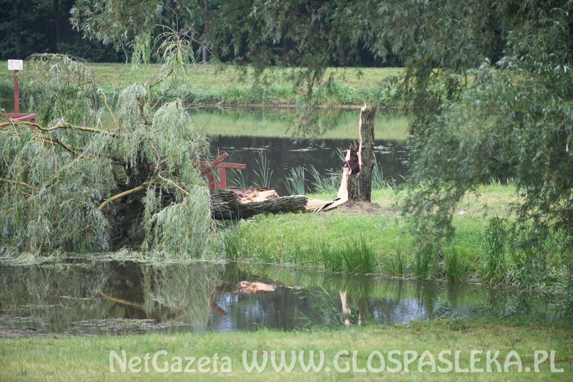 Efekty potężnej burzy