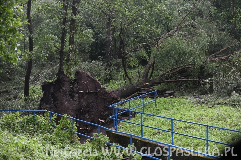 Efekty potężnej burzy