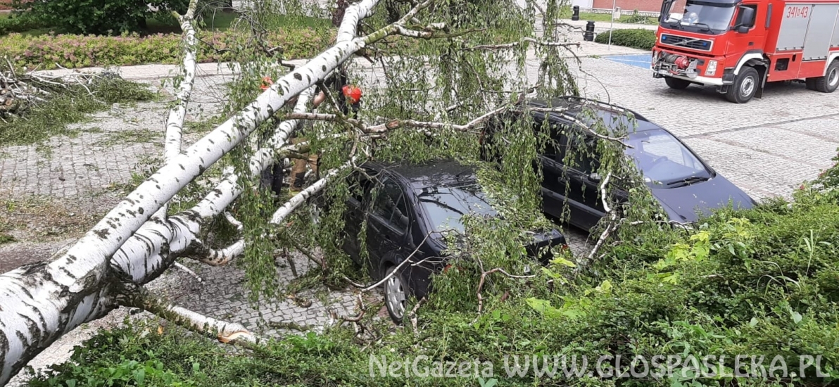 Efekty potężnej burzy