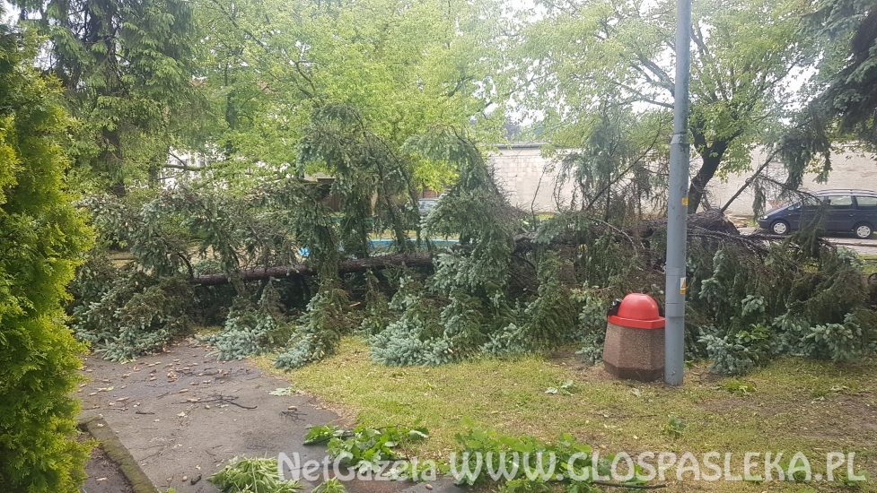 Efekty potężnej burzy