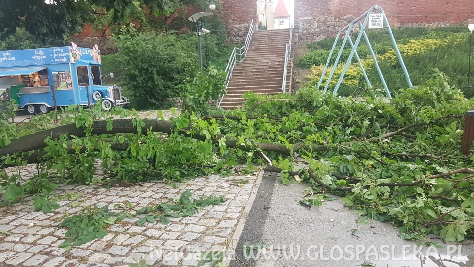 Efekty potężnej burzy