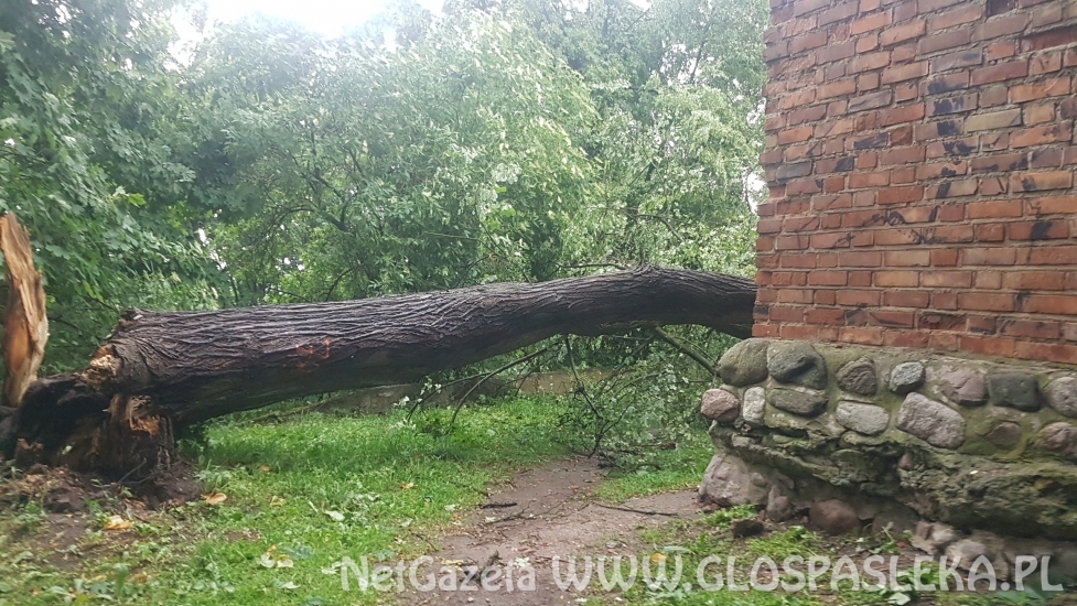 Efekty potężnej burzy