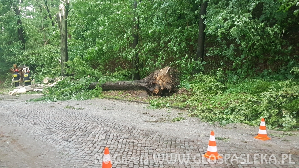 Efekty potężnej burzy