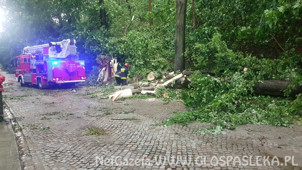 Efekty potężnej burzy