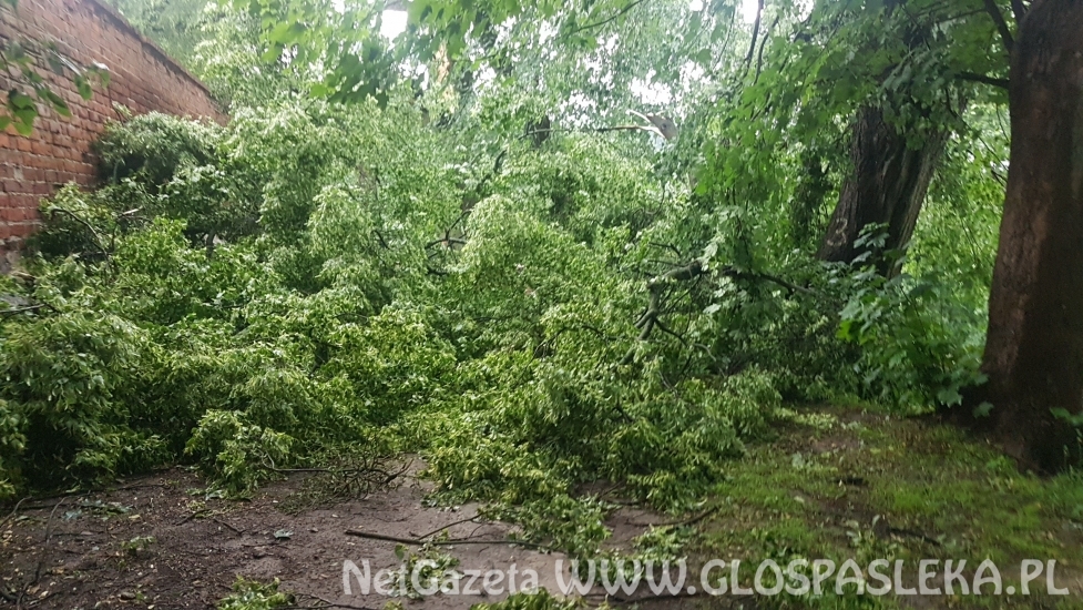 Efekty potężnej burzy