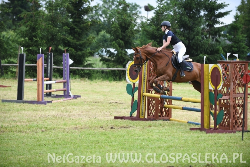 O Puchar Wójta Gm. Lidzbark Warmiński