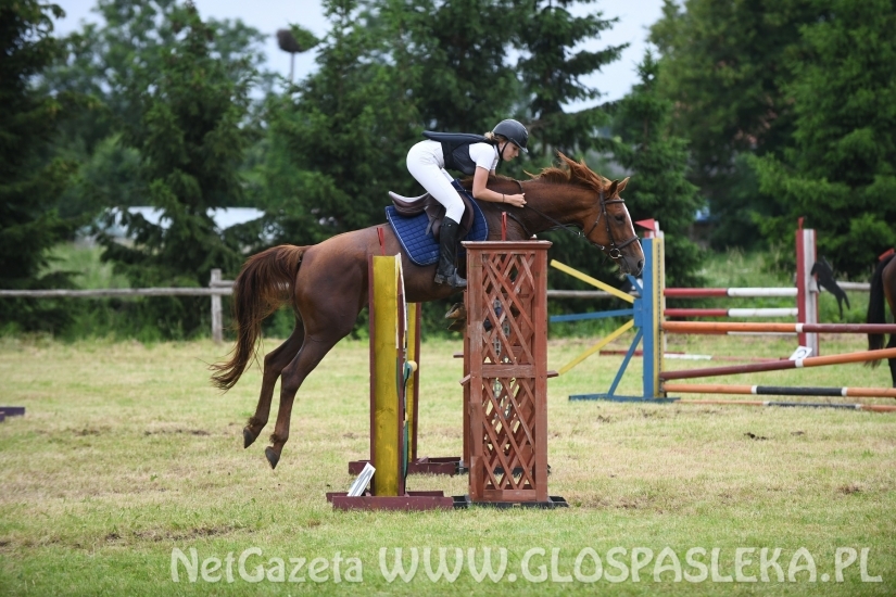 O Puchar Wójta Gm. Lidzbark Warmiński
