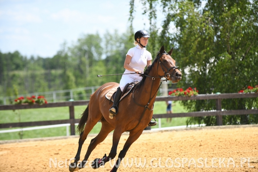 Kaja wygrywa konkurs kl. P