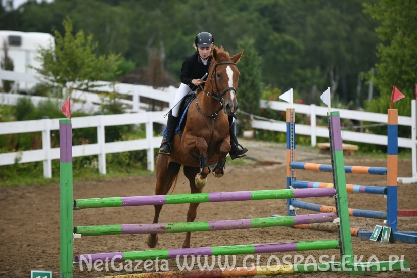 O Puchar Wójta Milejewa