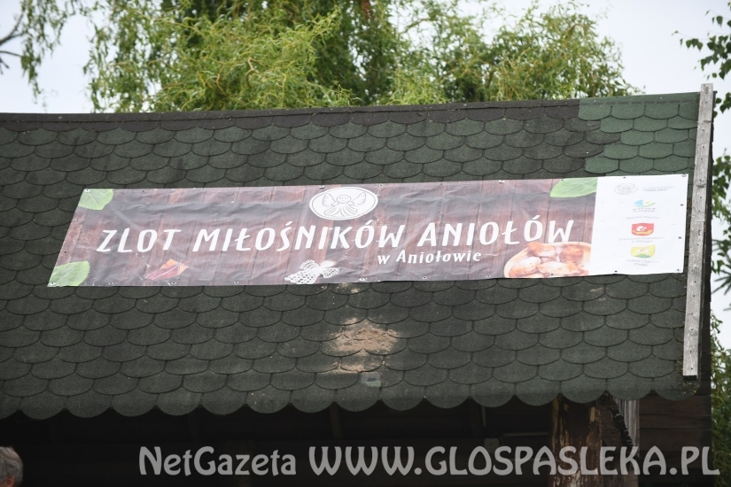 W Aniołowie sporo gości