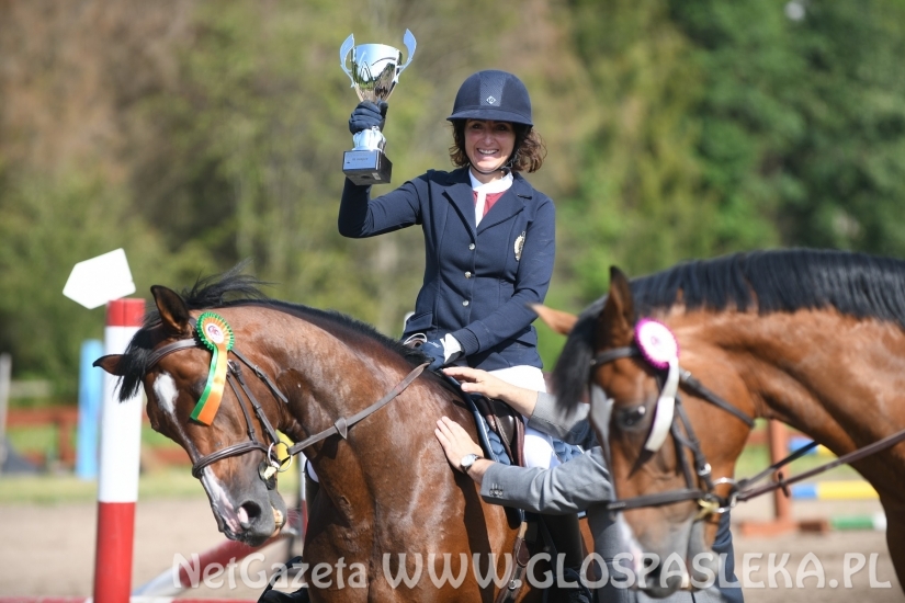 Konkursy N i P ozdobą zawodów jeździeckich