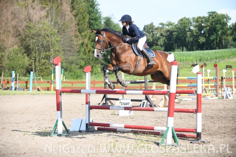 Konkursy N i P ozdobą zawodów jeździeckich