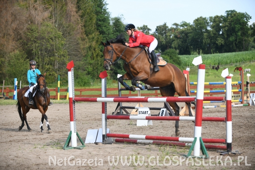 Konkursy N i P ozdobą zawodów jeździeckich