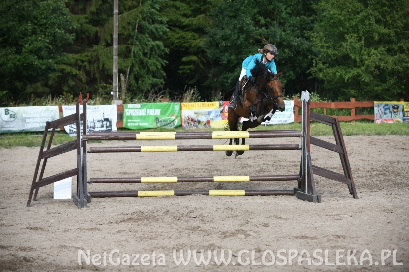 Konkursy N i P ozdobą zawodów jeździeckich