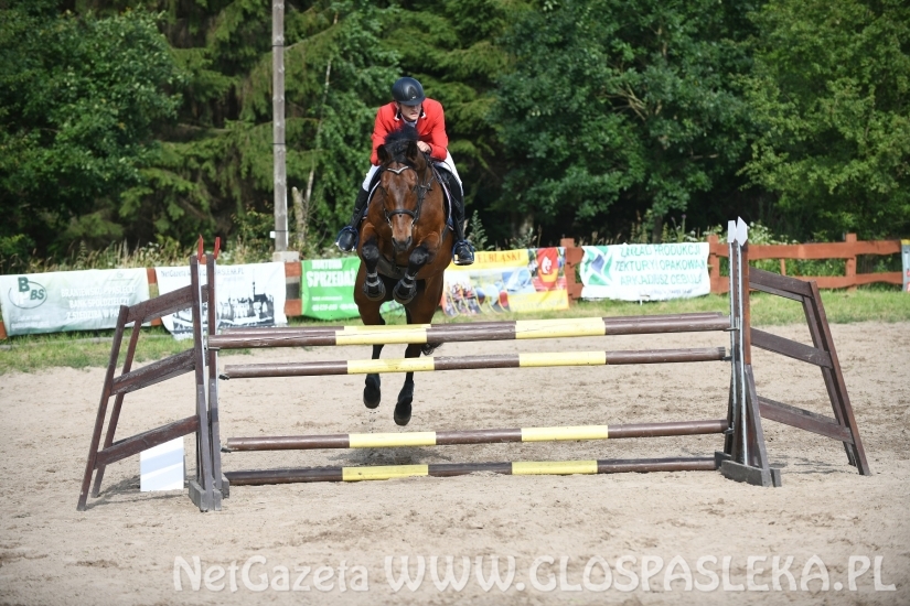 Konkursy N i P ozdobą zawodów jeździeckich