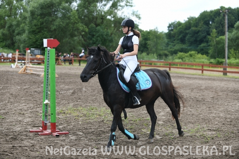Konkursy N i P ozdobą zawodów jeździeckich