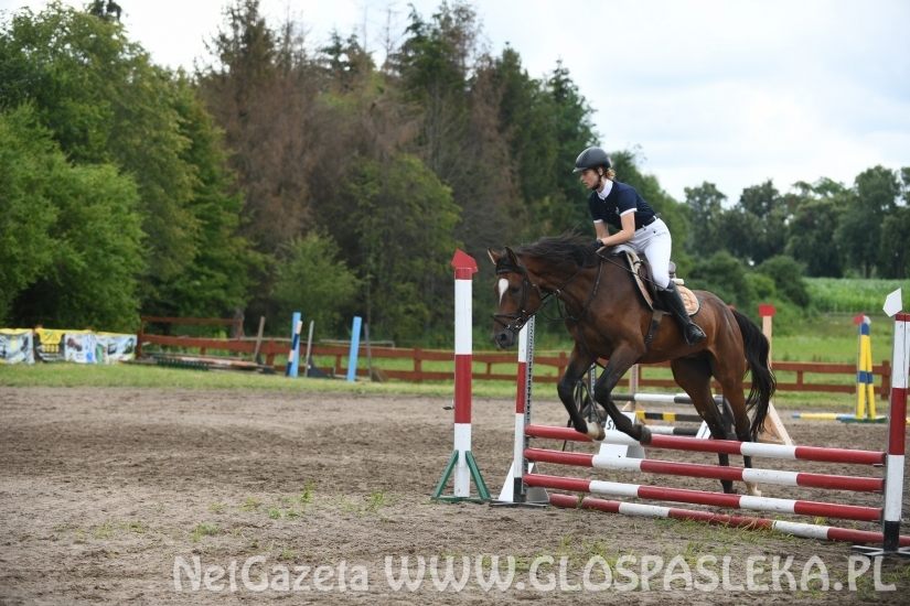 Konkursy N i P ozdobą zawodów jeździeckich