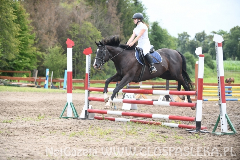 Konkursy N i P ozdobą zawodów jeździeckich