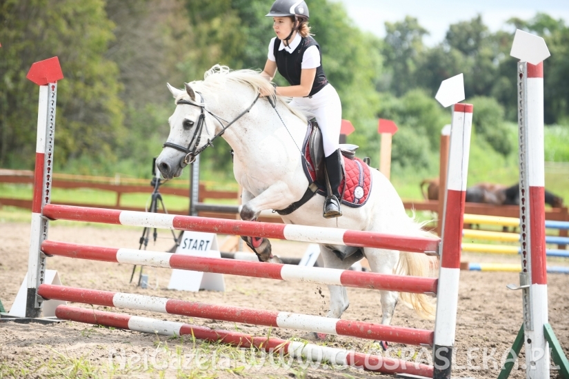 Konkursy N i P ozdobą zawodów jeździeckich
