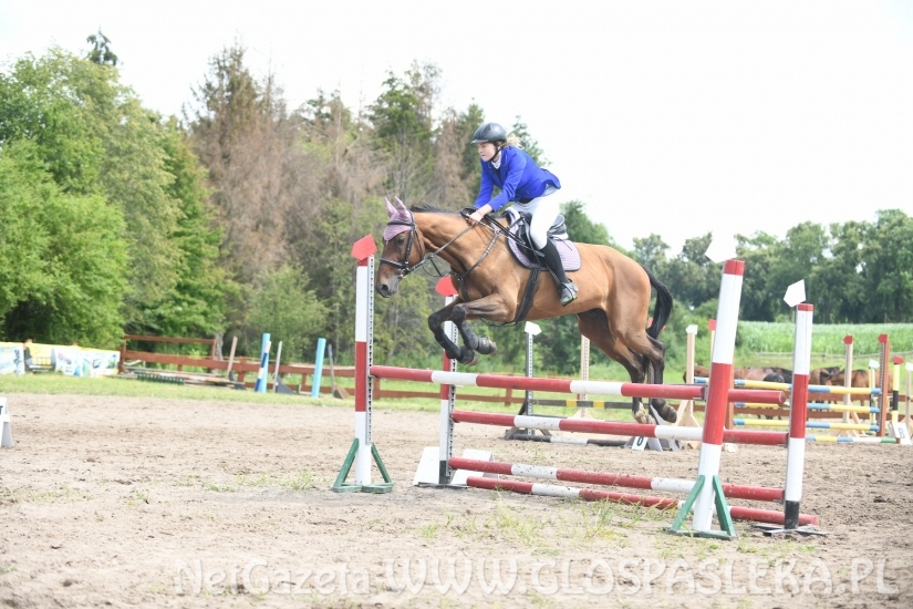 Konkursy N i P ozdobą zawodów jeździeckich