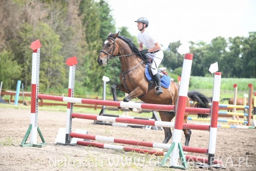 Konkursy N i P ozdobą zawodów jeździeckich