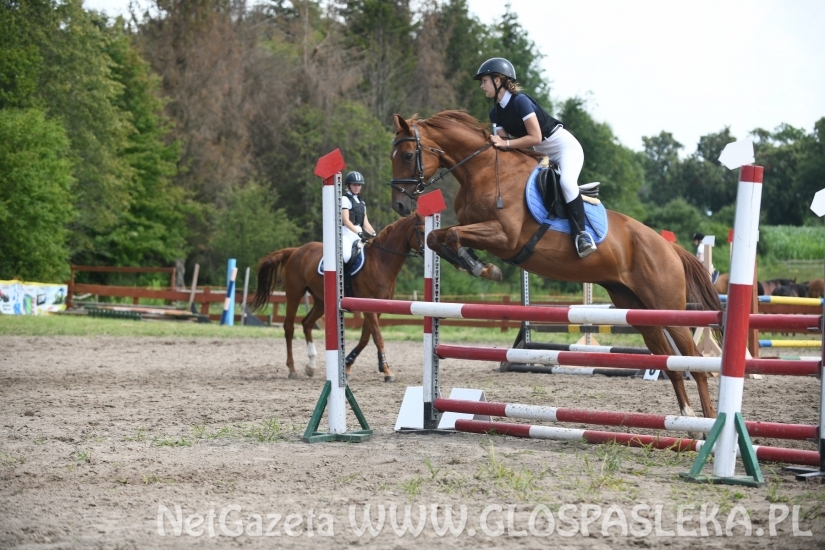 Konkursy N i P ozdobą zawodów jeździeckich