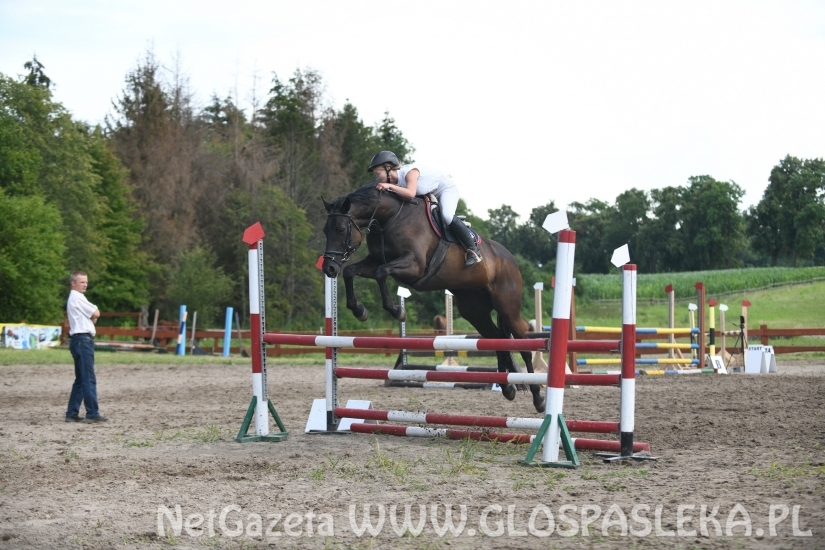 Konkursy N i P ozdobą zawodów jeździeckich