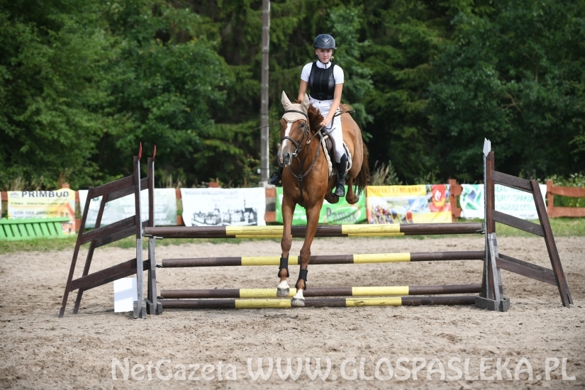 Konkursy N i P ozdobą zawodów jeździeckich