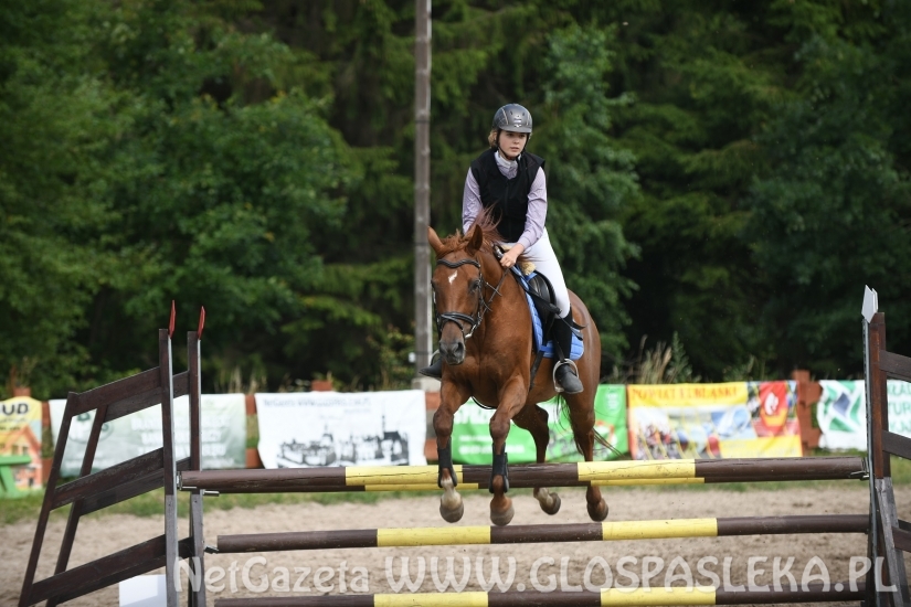 Konkursy N i P ozdobą zawodów jeździeckich