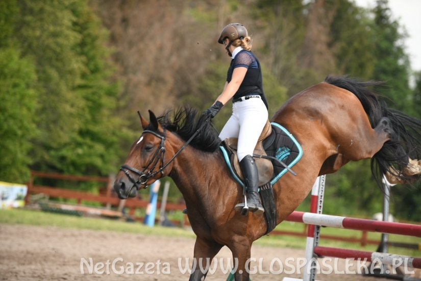 Konkursy N i P ozdobą zawodów jeździeckich