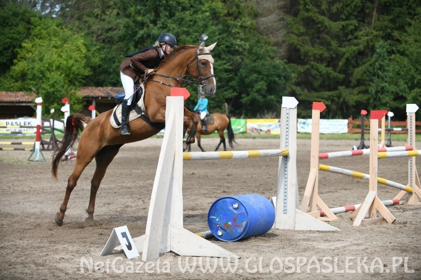 Konkursy N i P ozdobą zawodów jeździeckich