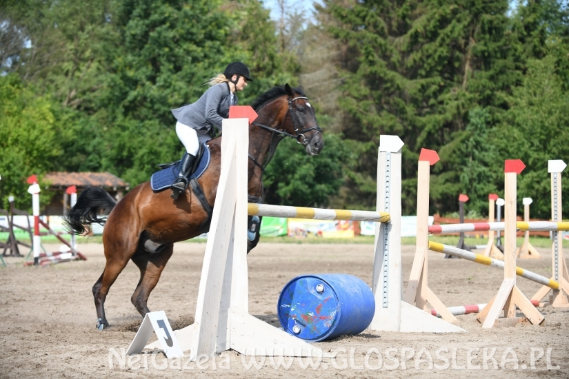 Konkursy N i P ozdobą zawodów jeździeckich