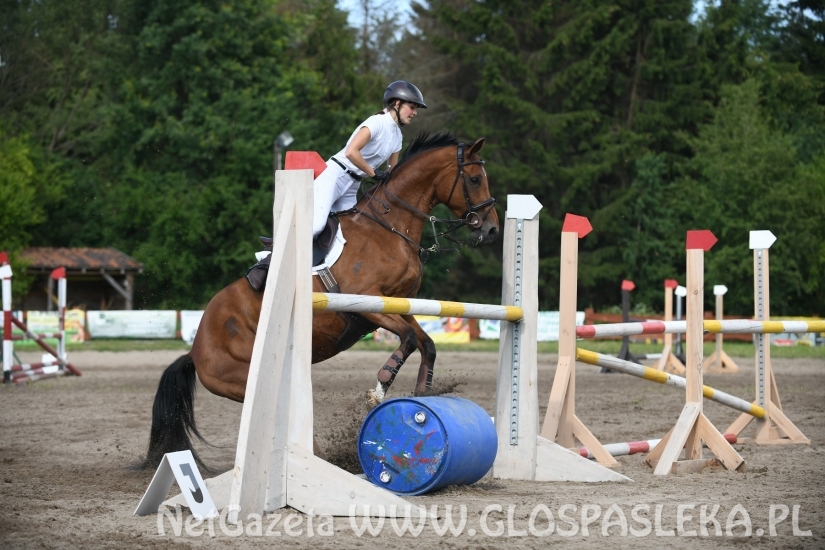 Konkursy N i P ozdobą zawodów jeździeckich