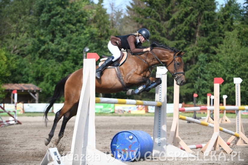 Konkursy N i P ozdobą zawodów jeździeckich