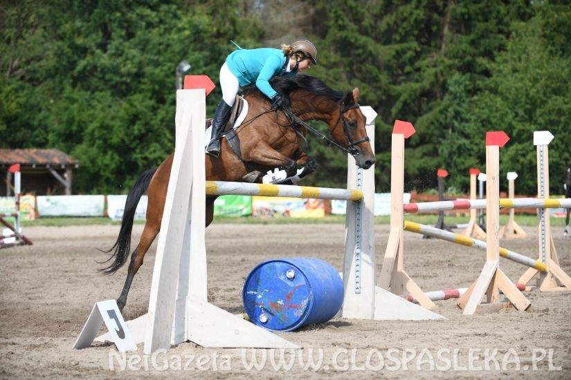 Konkursy N i P ozdobą zawodów jeździeckich