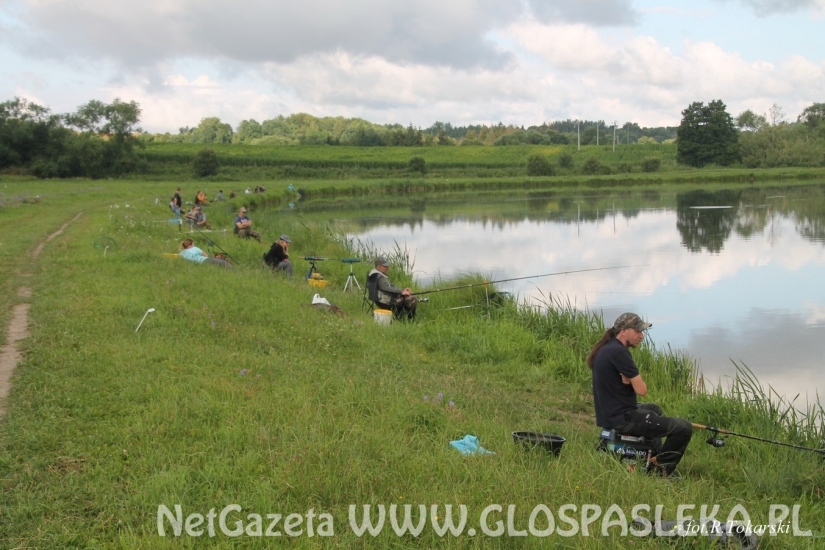 Federowe Mistrzostwa Koła 2019