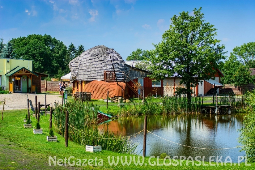 Światowe Restaurant Guru doceniło polskie ślimaki