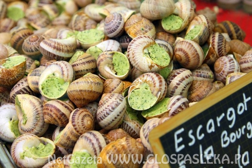 Światowe Restaurant Guru doceniło polskie ślimaki