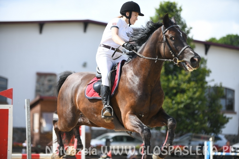 W Dąbrówce w doborowym towarzystwie