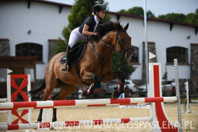 W Dąbrówce w doborowym towarzystwie