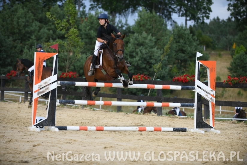 W Dąbrówce w doborowym towarzystwie