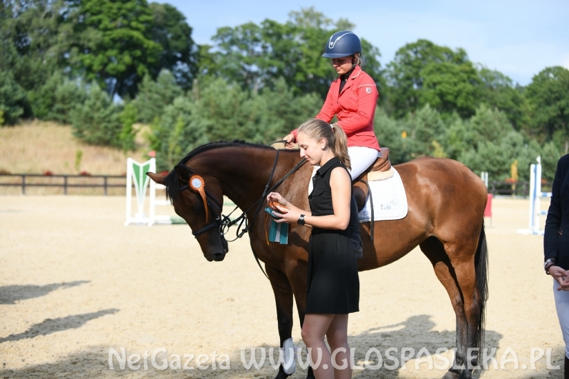 W Dąbrówce w doborowym towarzystwie