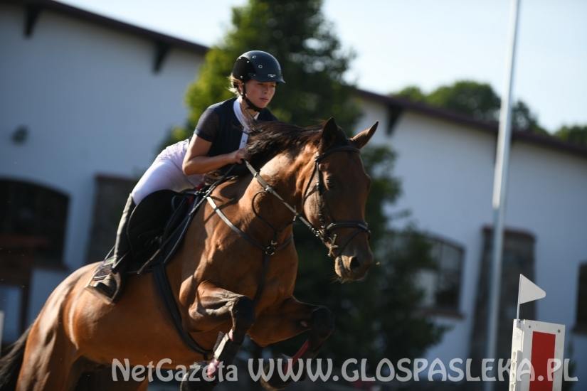 W Dąbrówce w doborowym towarzystwie