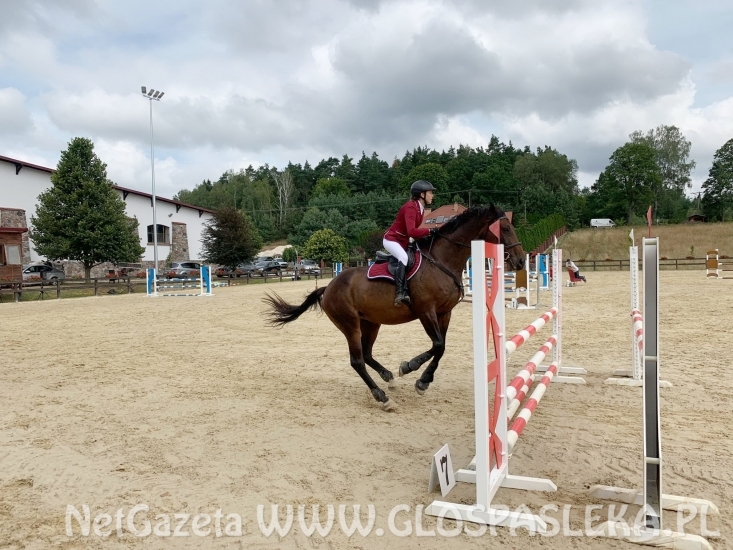 W Dąbrówce w doborowym towarzystwie