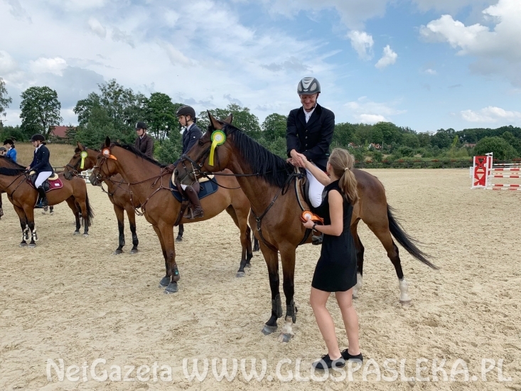 W Dąbrówce w doborowym towarzystwie