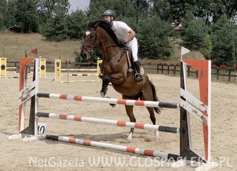 W Dąbrówce w doborowym towarzystwie